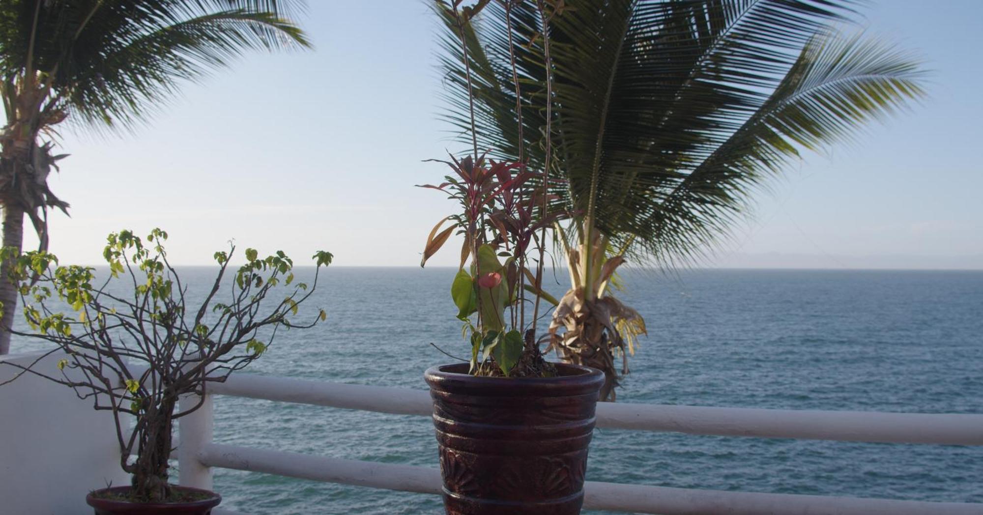 Traditional Sierra Leon Oceanfront Rooms - Adults Only ปูแอร์โตบาญาร์ตา ภายนอก รูปภาพ